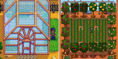 best greenhouse plants stardew|how to use greenhouse stardew.